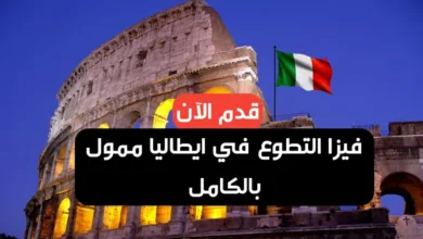 فرصة التطوع في ايطاليا فيزا شينغن شاملة الإقامة وتدكرة الطيران