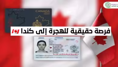 LMIA-Approved Jobs in Canada for Foreigners in 2024