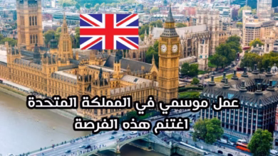 تأشيرة العمل الموسمي في المملكة المتحدة اغتنم الفرصة و قدم الآن