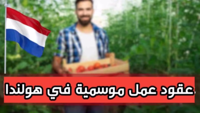 قدم للحصول على عقد عمل موسمي في هولندا بشروط بسيطة