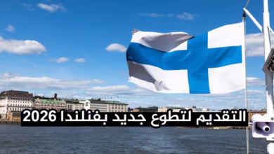 فرصة تطوع جديدة بدولة فنلندا 2026