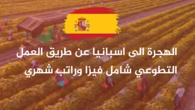 فرصة إسبانيا تفتح باب التسجيل للعمل التطوعي شامل فيزا شنغن