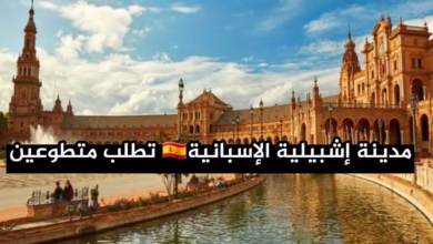إسبانيا تفتح أبوابها للمتطوعين العرب فرصة قانونية وممولة بالكامل للعيش في إشبيلية سنة 2026