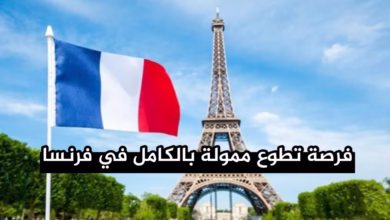 فرنسا تعلن عن فرص تطوع ممولة بالكامل للمتحدثين بالعربية