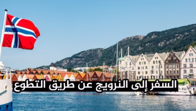 فرصة ذهبية 2026 العمل التطوعي في النرويج ممول بالكامل