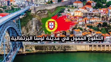 مدينة لوسا البرتغالية تعلن عن فرص تطوع ممولة للعرب لسنة 2026