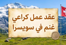 عقد عمل كراعي غنم في سويسرا 2026 الشروط، الراتب، طريقة التقديم وأفضل المواقع الرسمية