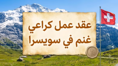 عقد عمل كراعي غنم في سويسرا 2026 الشروط، الراتب، طريقة التقديم وأفضل المواقع الرسمية